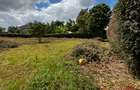 0.5 ac Land at Muthaiga North - 6