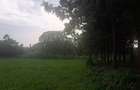 0.5 ac Land in Runda - 8