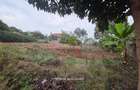 0.5 ac Land at Eliud Mathu - 2