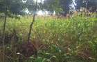 0.113 ac Commercial Land in Ongata Rongai - 15