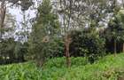 Land at Ngong - 16