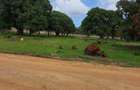 450 m² Land at Mtwapa - 9