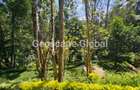 5 Bed House with En Suite in Kitisuru - 19