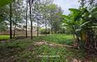 0.5 ac Land in Kitisuru - 4