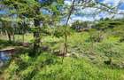 0.5 ac Land at Masai Lodge - 1