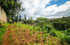 0.5 ac Land at Kinanda Close - 3