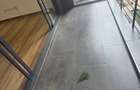 Serviced 3 Bed Apartment with En Suite at Mandera Road - 6