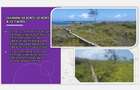 Land in Kilifi County - 10