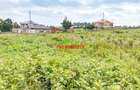 0.05 ha Land in Limuru - 14