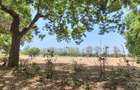 75 ac Land at Vipingo - 14