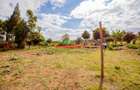 0.05 ha Residential Land in Kikuyu Town - 7