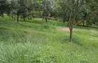 0.125 ac Land at Thika Grove Chania-Opposite Blue Post Hotel - 2