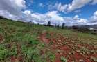 Land at Kibiko - 11