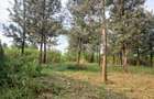 Land in Runda - 3
