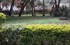 5 Bed House with En Suite at Rosslyn - 5