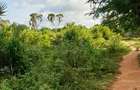 Land at Tiwi Near Diani South Coast - 14