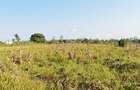 Land in Kilifi - 10
