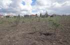 4.75 ac Land at Parliament Rd - 11