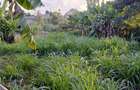 1.5 ac Land at Kiambu - 9