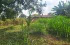 Land in Lower Kabete - 3