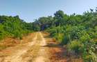 Land in Vipingo - 11