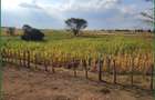 Land in Narok - 1