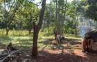 1 ac Land at Runda - 3