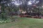 0.65 ac Residential Land at Off Mbaazi Avenue - 1