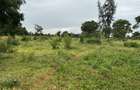 3.8 ac Land in Vipingo - 10