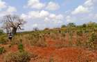 5,000 ft² Land at Mavueni - 7