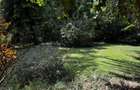 2.6 ac Residential Land at Windy Ridge - 5