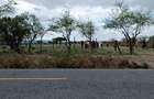 5,000 ft² Residential Land at Tinga - 3