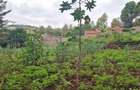 0.5 ac Land in Ngong - 12