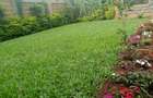 5 Bed House with Garden at Ngong - 3