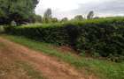 0.113 ac Residential Land in Ngong - 5