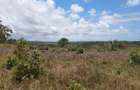 5.00 ac Land at Mabokoni - 3