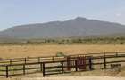 0.48 ac Residential Land at Naivasha - 9
