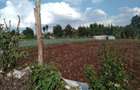 1 ac Land in Tigoni - 19