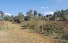 1.5 ac Residential Land at Kibiko - Ngong - 10
