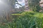 0.25 ac Land in Kikuyu Town - 3