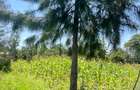 Land at Kandisi - 6