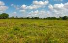 Residential Land in Kilifi - 11
