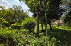 Commercial Land in Lavington - 5