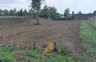 0.5 ac Residential Land at Kiamunyeki - 1