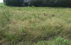 0.125 ac Residential Land in Ongata Rongai - 11