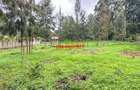 0.05 ha Commercial Land in Kikuyu Town - 9