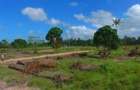 0.045 ha Land at Diani - 5