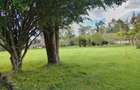 5 ac Land in Karen - 4