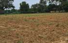 Residential Land in Kilifi - 5