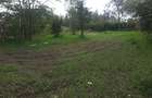 0.25 m² Land in Ongata Rongai - 8